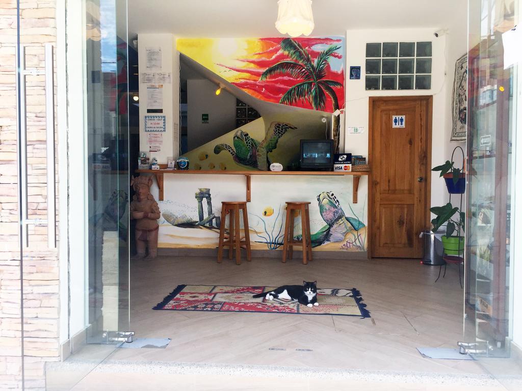 Hostal Yaku מונטניטה מראה חיצוני תמונה